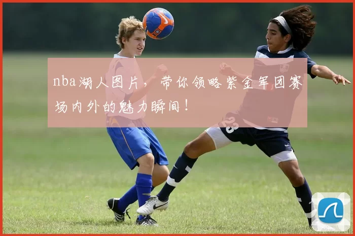 nba湖人图片,带你领略紫金军团赛场内外的魅力瞬间!