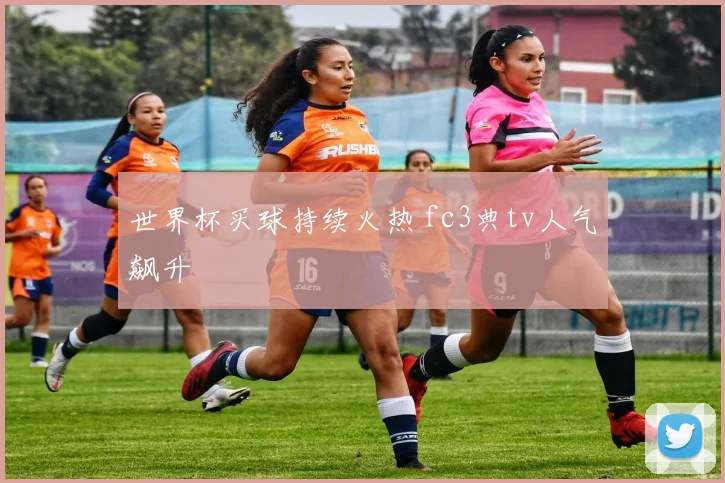 世界杯买球持续火热 fc3典tv人气飙升